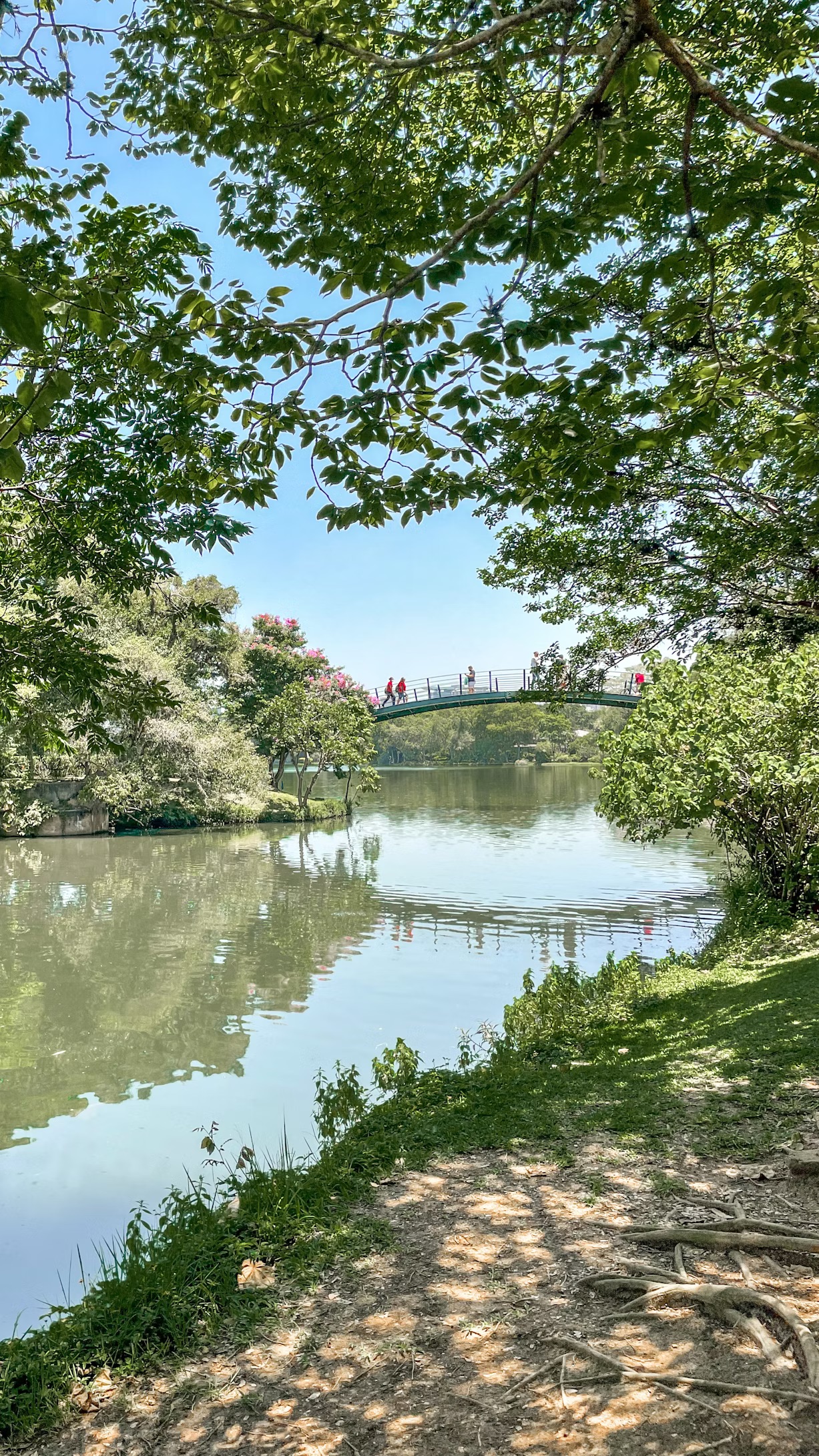Tree-lined lake and walking path in Ibirapuera Park on a sunny day